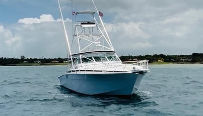 El Caiman For Sale image4