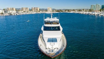 Active Octo For Sale image6