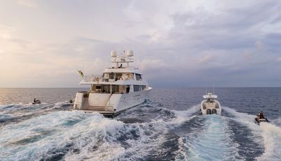 AVALINA For Sale image57