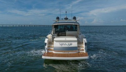 MISS SIP For Sale image5