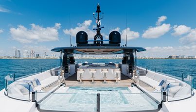 Half Irish For Sale image61