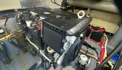 Mabe's Kid For Sale image61