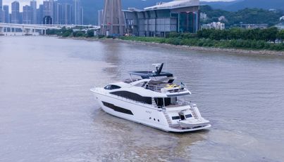 Dragon For Sale image3