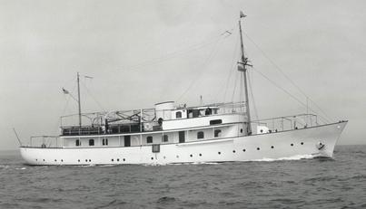 AMAZONE For Sale image3