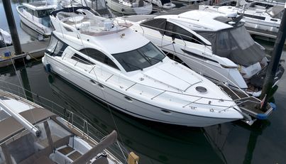 DRAGONFLY For Sale image1