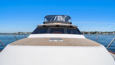 The Cotton Picker For Sale image16