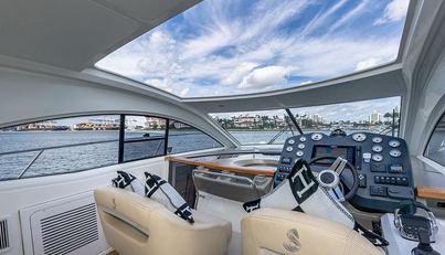 Alegria For Sale image3