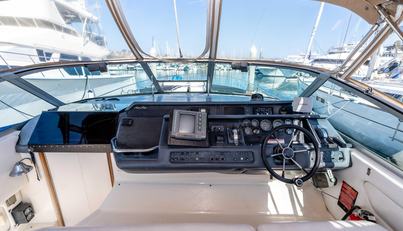 Sea Oddity For Sale image10