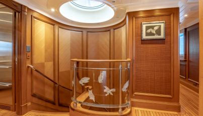 Shadowl For Sale image19