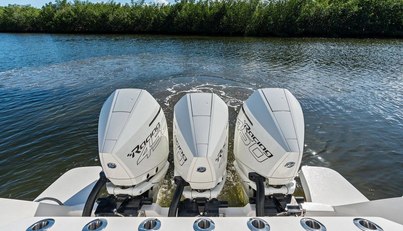 Salty Dog For Sale image32