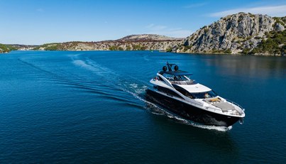 Black Mamba For Sale image10