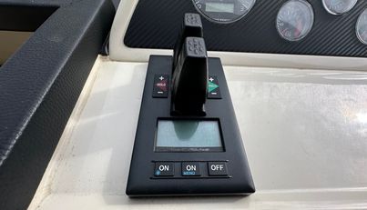 Gracie For Sale image42