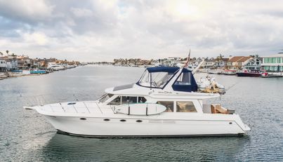 SILVIUS BRABO For Sale image6