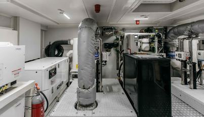 PAPILLON For Sale image18