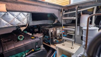 Bella For Sale image102