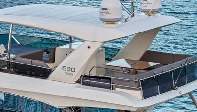 WILD GAMBLE For Sale image5