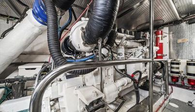 The Cotton Picker For Sale image63