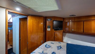 VET BILLZ For Sale image26