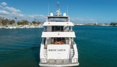 WHITE LOTUS For Sale image10