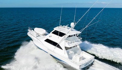 AMANTE For Sale image6