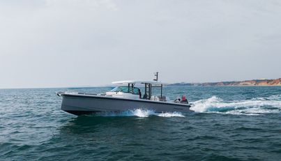 SEAS THE GREY For Sale image4