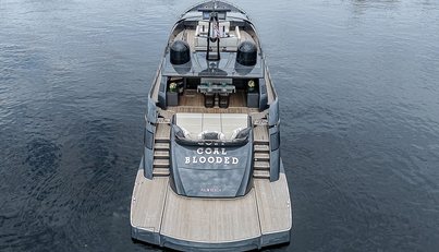 Coal Blooded For Sale image45