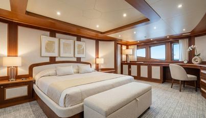 New Master  For Sale image18