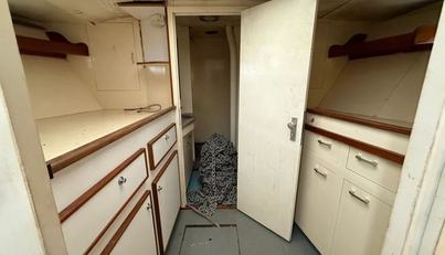 Orion For Sale image39