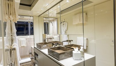 PHOENIX For Sale image41