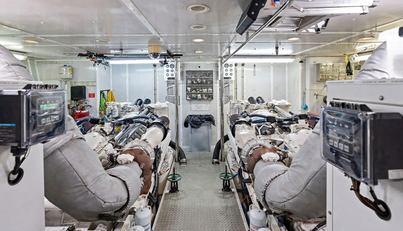 PICOSA LADY For Sale image32