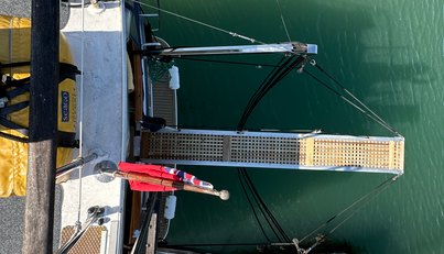 Sea Wolf For Sale image56
