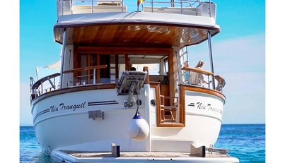 NIU TRANQUIL For Sale image198