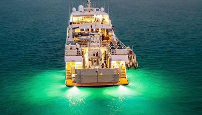 Compass Rose For Sale image2