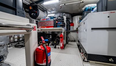 Firefly For Sale image45