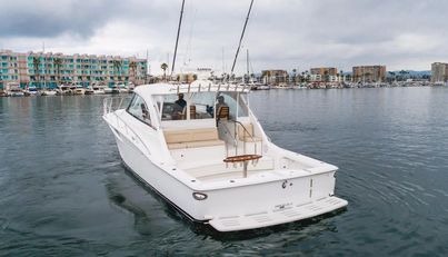 Commodore Two For Sale image14