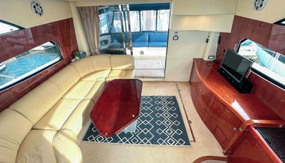 DRAGONFLY For Sale image12