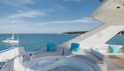 ONYX For Sale image15