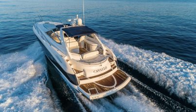 Cavallo For Sale image2