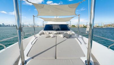 VALIANT For Sale image58