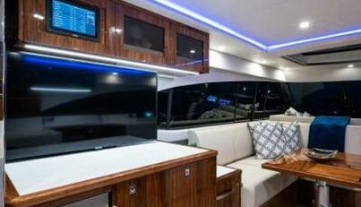 Greyhound For Sale image30