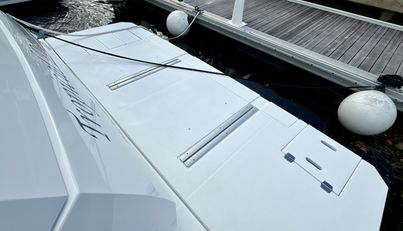 Tropical Dreamer For Sale image9