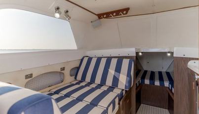 Patriot For Sale image8