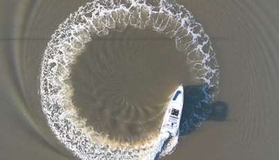 HAYLU For Sale image11