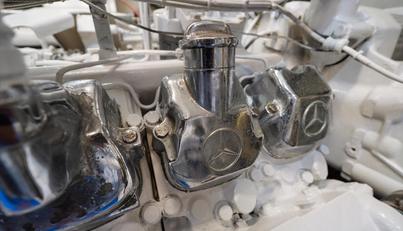 Octopi For Sale image22