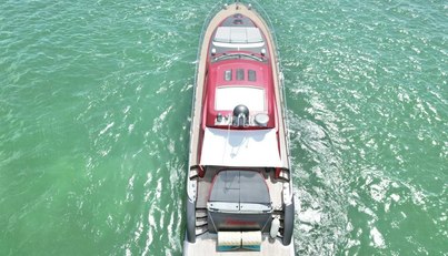 Notorius For Sale image12