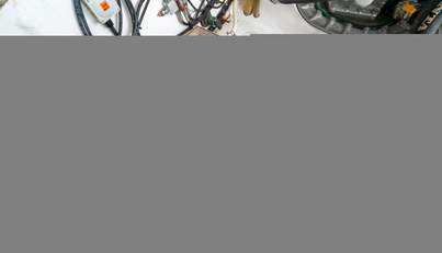 Sea Dream For Sale image171