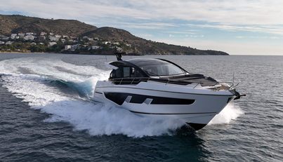 ANOUCHKA For Sale image6