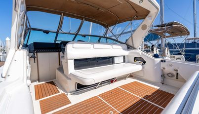 Sea Oddity For Sale image9