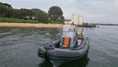 Blushforce For Sale image3