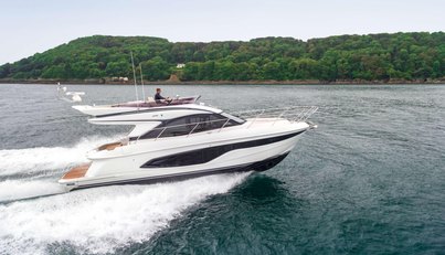 Theo For Sale image2